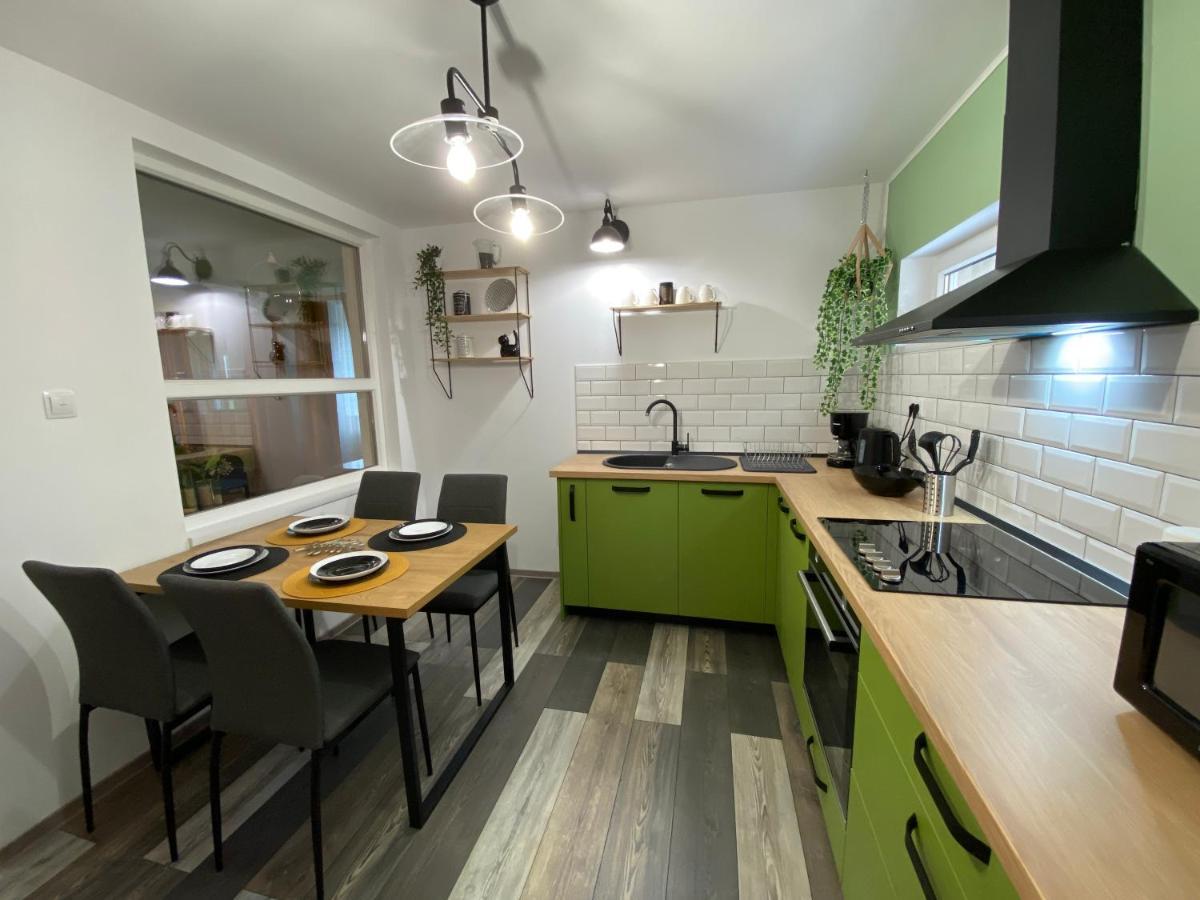Evergreen Apartment Timișoara Zewnętrze zdjęcie